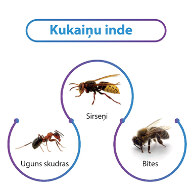 Kukaiņu kodumu izraisīta anafilakse visbiežāk sastopama bērniem. Kukaiņu kodumu izraisīta anafilakse visbiežāk sastopama bērniem.